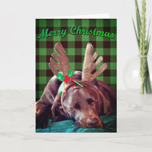 Buffalo Plaid Labrador Wearing Antlers Photograph Holiday Card