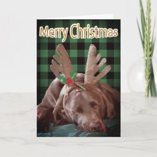 Buffalo Plaid Labrador Wearing Antlers Photograph  Holiday Card
