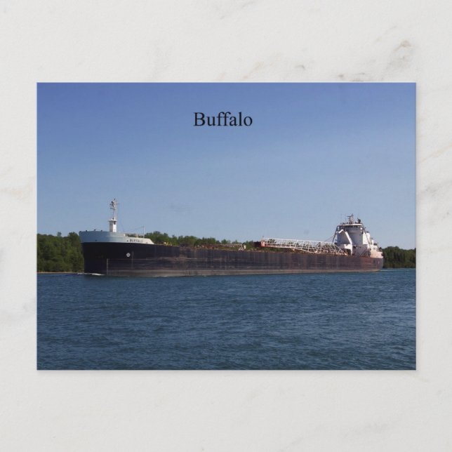 Buffalo postcard (Front)
