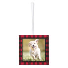 Buffalo rouge personnalisé Chien plaqué Chien Chie