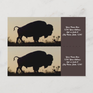 Buffalo Silhouette Bookmarkers Postcard