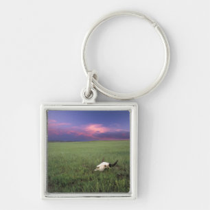 Buffalo Skull in Prairie Grass near Medora Keychain
