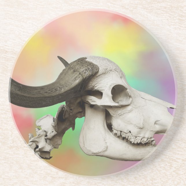 Buffalo Skull on a Watercolor Background Coaster (Front)