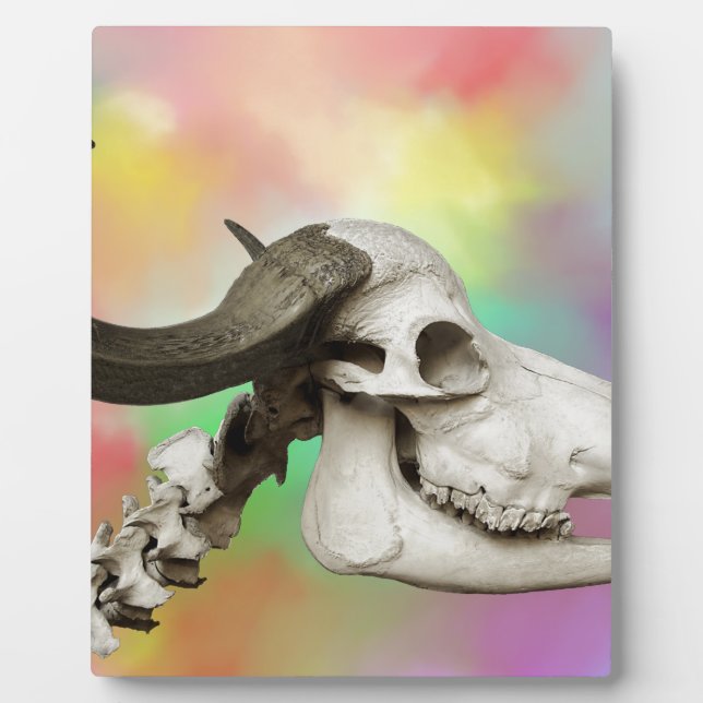 Buffalo Skull on a Watercolor Background Plaque (Front)