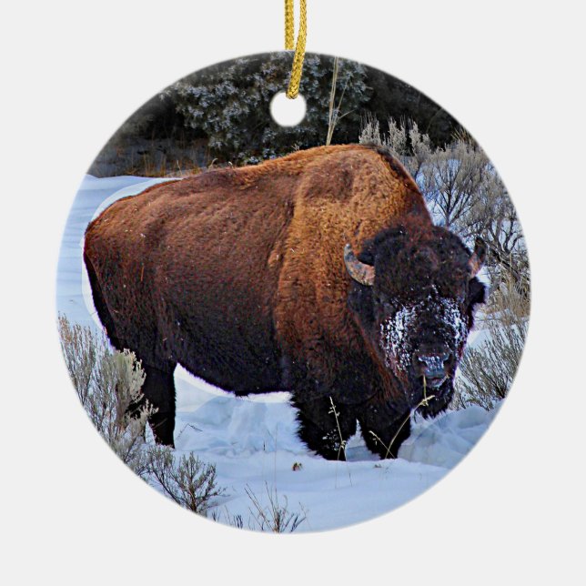 Buffalo Snow Photo Ceramic Ornament (Front)