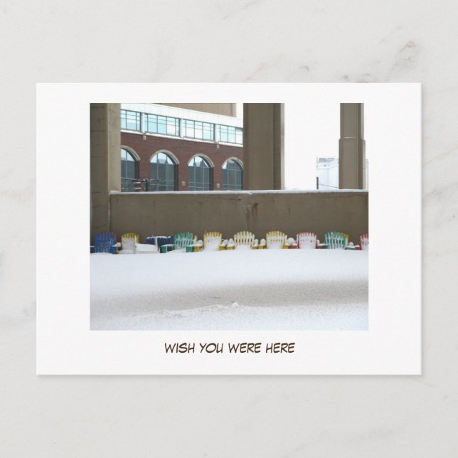 Buffalo Winters (wish you were here) Postcard (Front)
