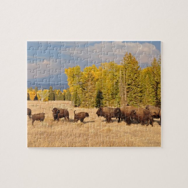 Buffalo Wyoming Jigsaw Puzzle (Horizontal)