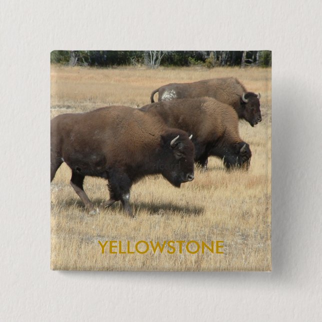 Buffalo Yellowstone Button (Front)