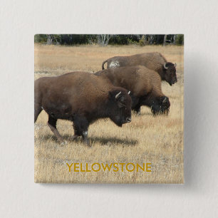 Buffalo Yellowstone Button