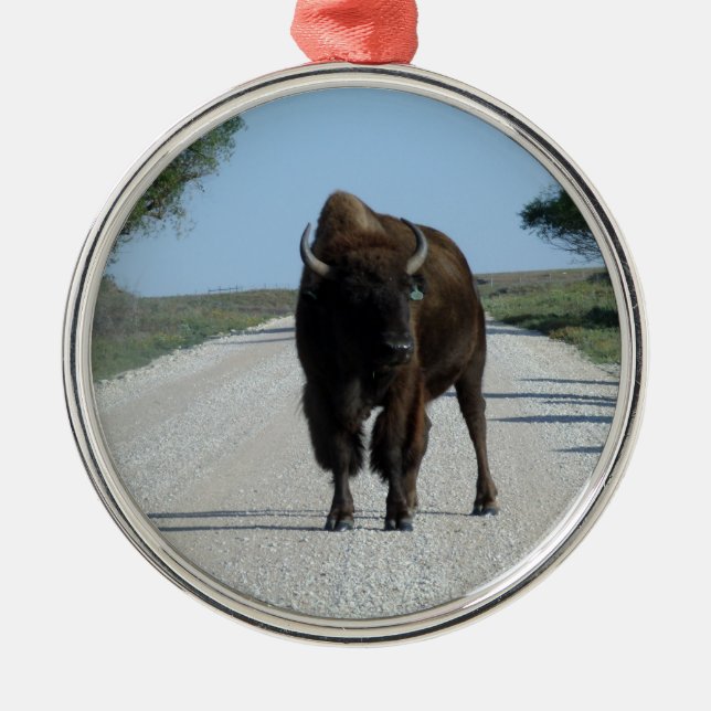 Buffaloed! Metal Ornament (Front)