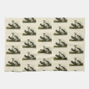 Buffel-headed Duck from Audubon's Birds of America Kitchen Towel