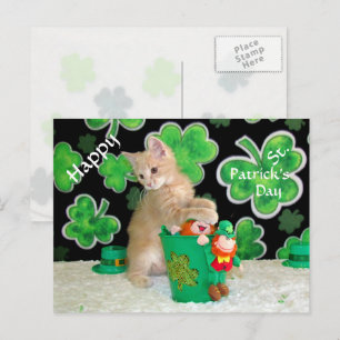 Buffington's St. Patrick's Day Postcard - Cat