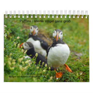 Buffins - small birds big calendar