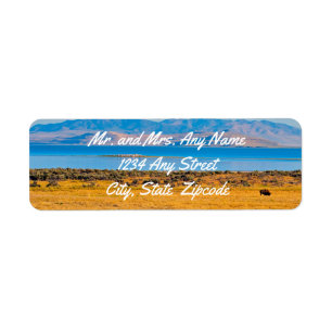 Buffle de pâturage, Grand lac de sel, Utah