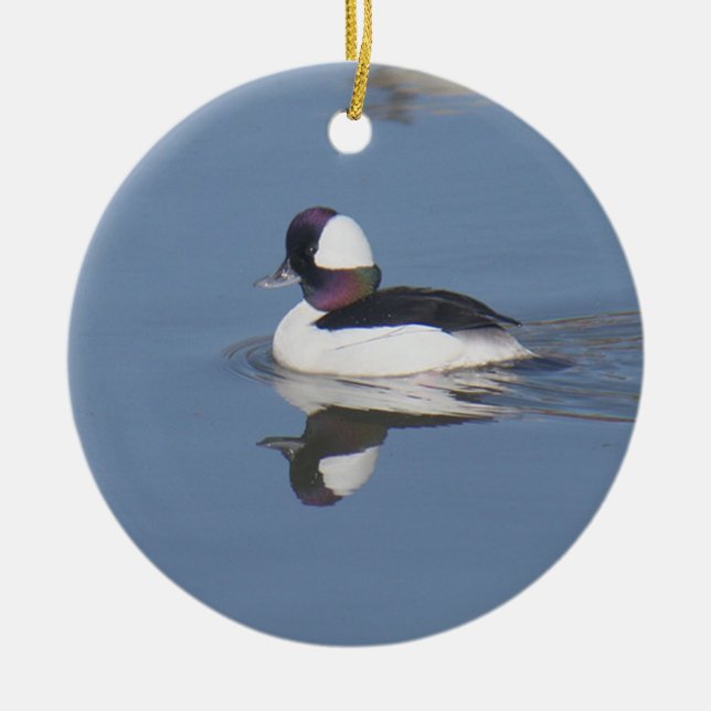 Bufflehead Duck Drake Ceramic Ornament (Front)