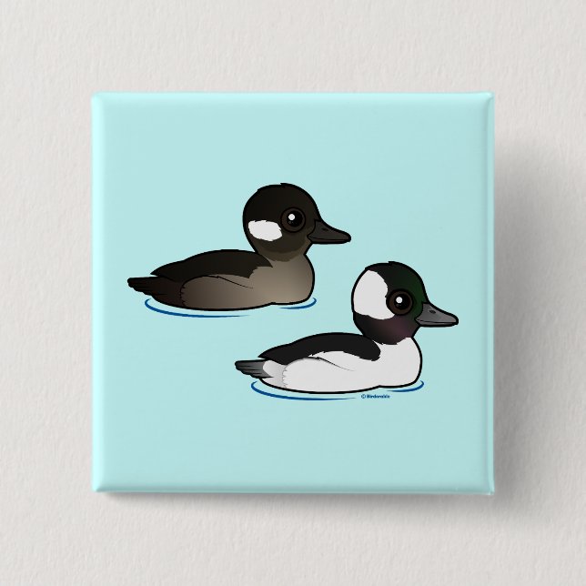 Bufflehead Pair 2 Inch Square Button (Front)