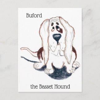 Buford the basset hound postcard