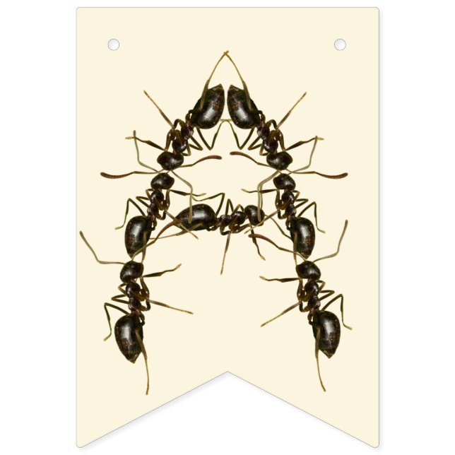 Bug Birthday - Insect Birthday  Bunting Flags (Third Flag)