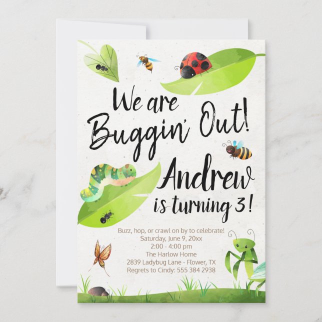 Bug Birthday Invitation - We are Buggin' Out! (Front)