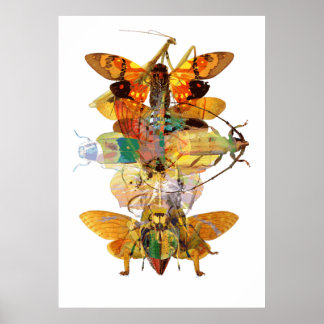Bug Collage Poster