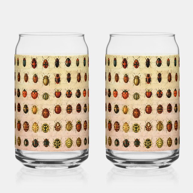 Bug d'insectes coccinelle de coccinelle (Recto)