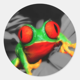 Bug-Eyed Frog Classic Round Sticker