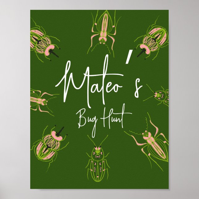 Bug Hunt Insect Birthday Hand Drawn Party Poster (Front)