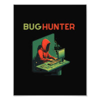 BUG HUNTER, Programming, software engineer