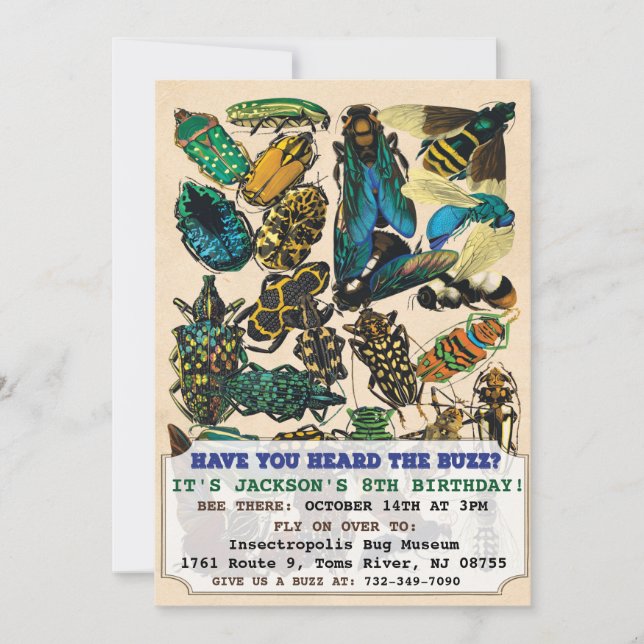 Bug Insect Birthday Invitation (Front)
