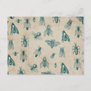 Bug Insects Pattern Background Postcard