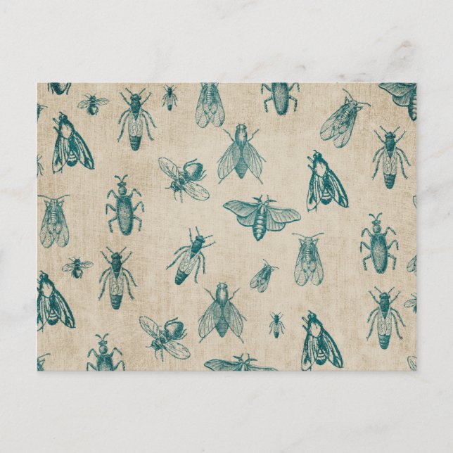 Bug Insects Pattern Background Postcard (Front)
