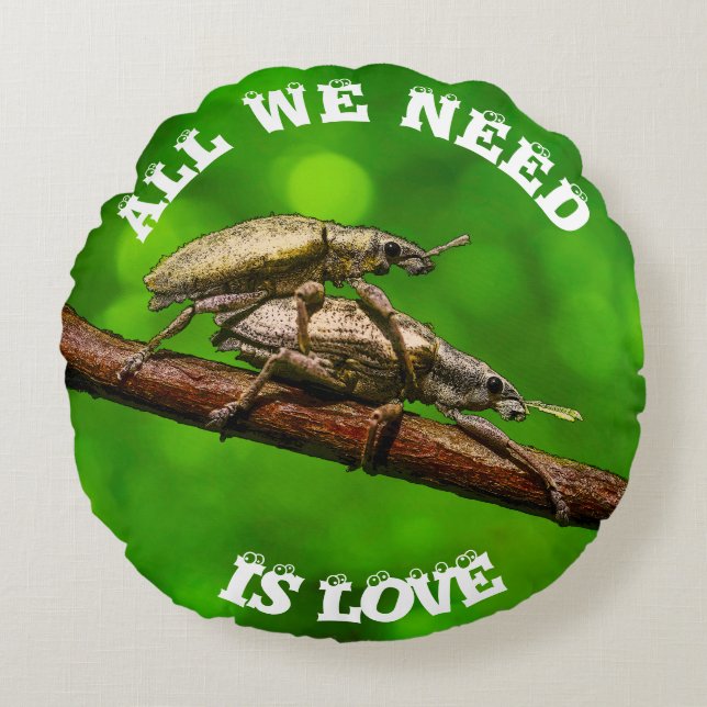 Bug Lovers On The Branch Funny Round Pillow (Front)