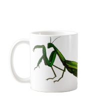Bug Mug, Praying Mantis Green