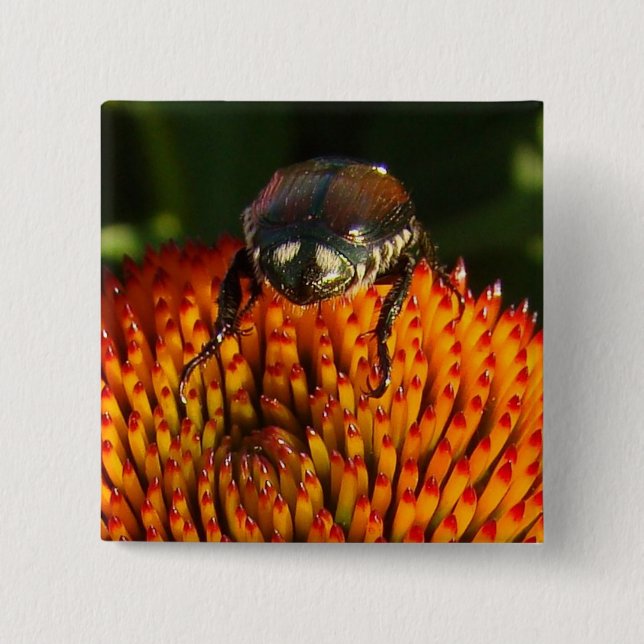 Bug on Flower 2 Inch Square Button (Front)