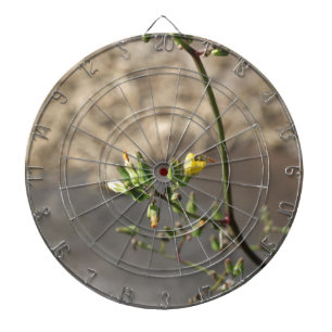 Bug on Flower Dartboard