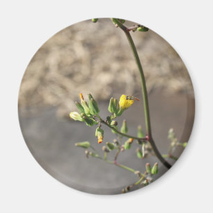 Bug on Flower Magnet