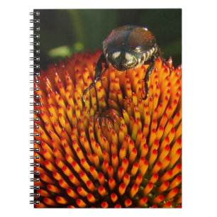 Bug on Flower Notebook