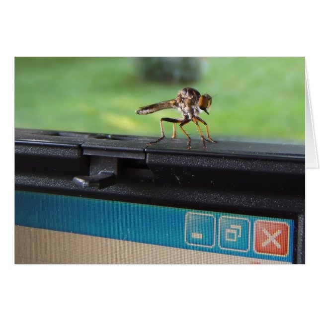 Bug on System ~ card (Front Horizontal)