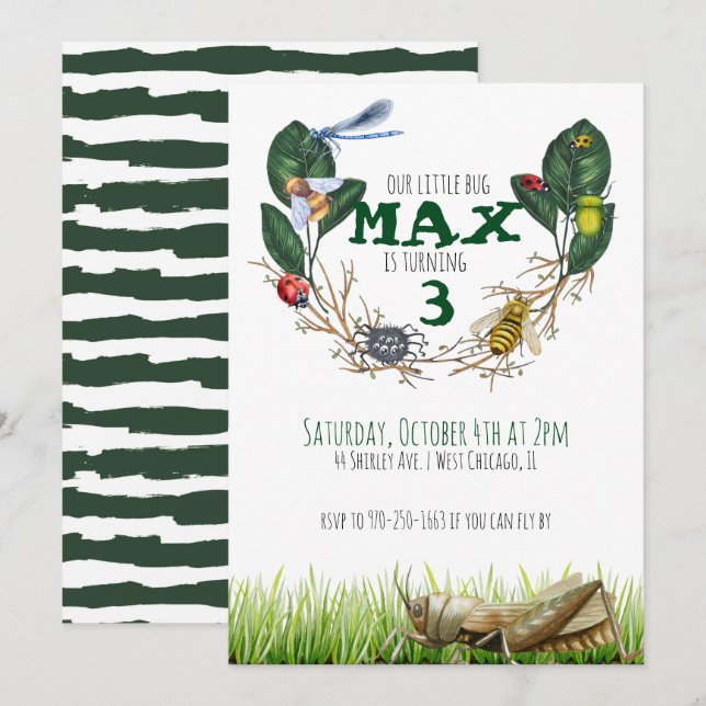 Bug Thème Anniversaire Fête Invitation (Devant / Derrière)