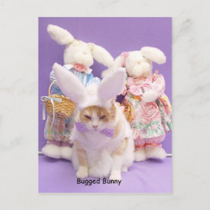Bugged Bunny Postcard