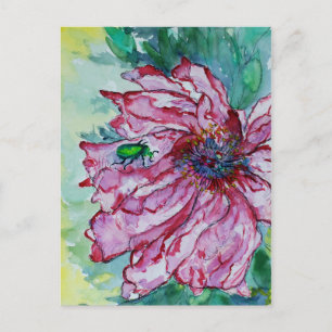 Bugged Flowers Postcard