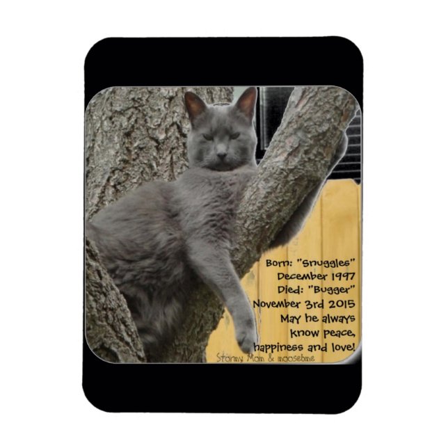 Bugger Baby 1997 to 2015 Magnet (Vertical)