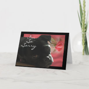 Buggs Dog Belated -- customize occasion Card