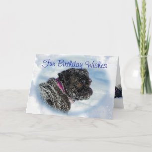 Buggs Dog in Snow card-customize any occasion Card