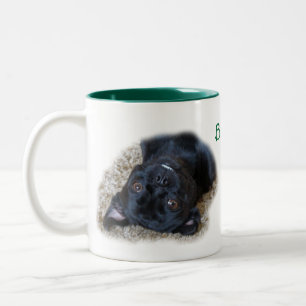 Buggs dogs Mug-customize Two-Tone Coffee Mug