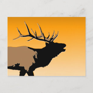 Bugling Bull Elk at Sunset Original Wildlife Art Postcard