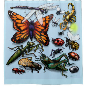 Bugs