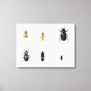 Bugs 2011 canvas print