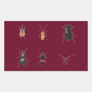 Bugs 2011 sticker