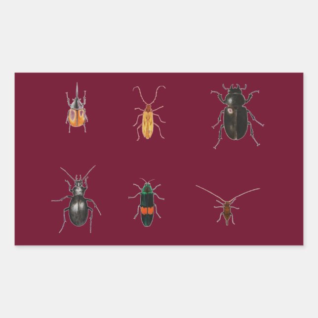 Bugs 2011 sticker (Front)